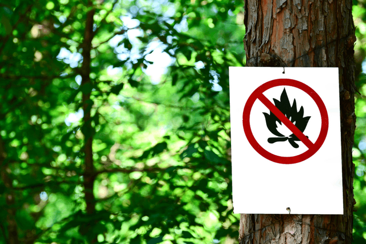 Interdiction feux de forêt et végétation