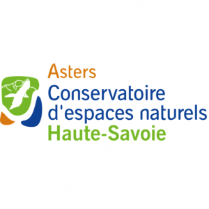 asters