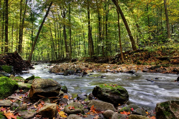 depositphotos_3360310-stock-photo-small-forest-river