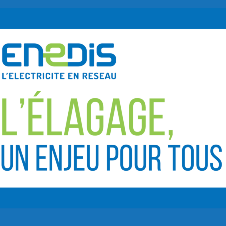 ENEDIS-ELAGAGE-1024x1024